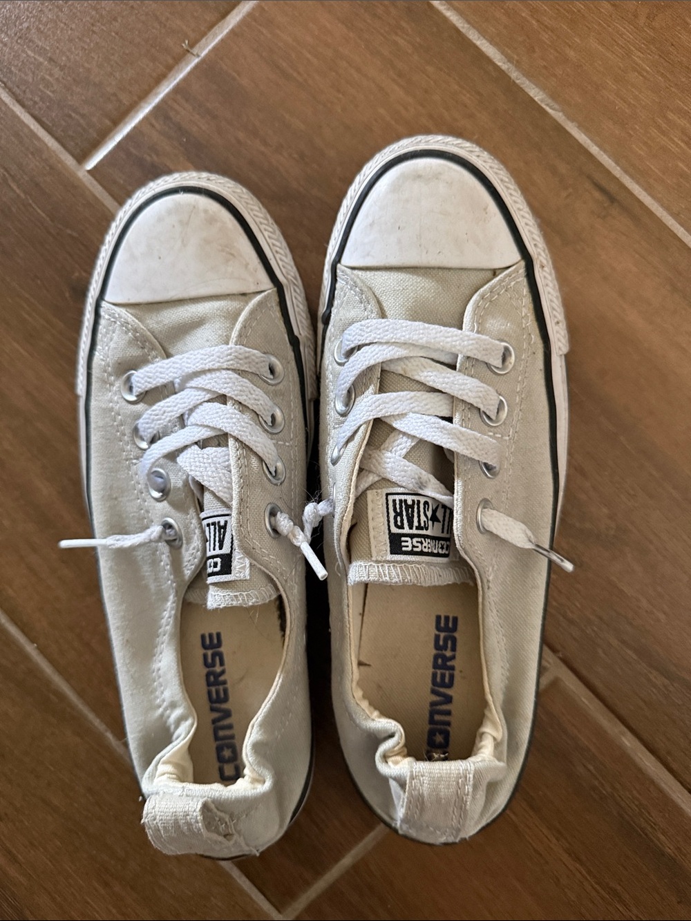 Converse Low Top Canvas Sneakers in Light Green